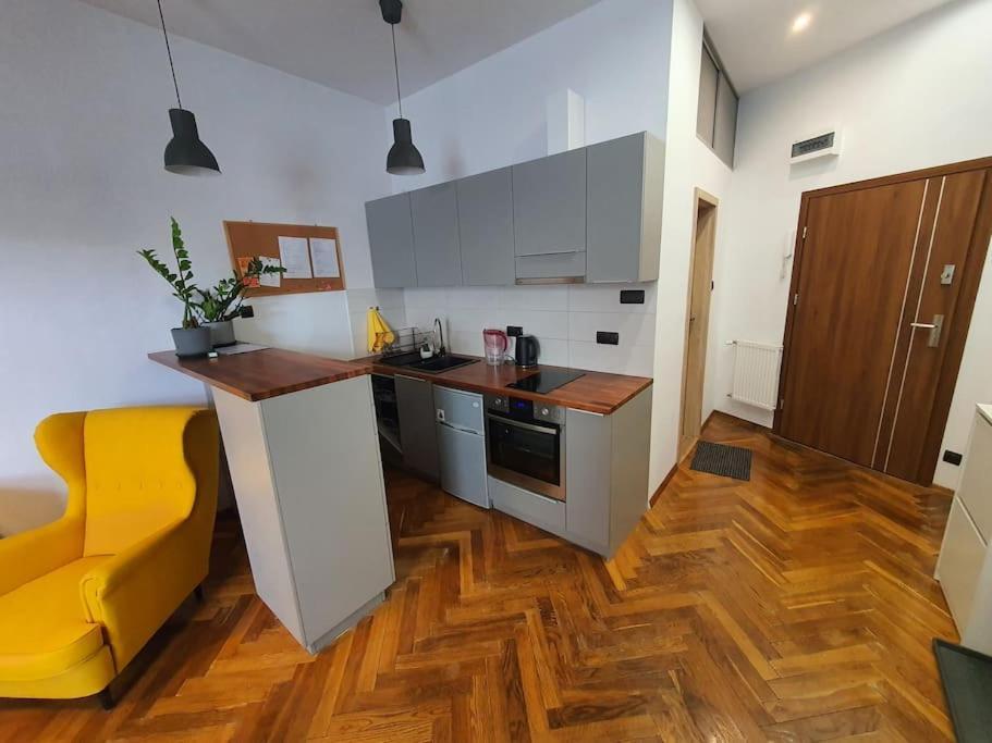 Apartament Przy Szkole Filmowej, Darmowy Parking Łódź Exterior foto
