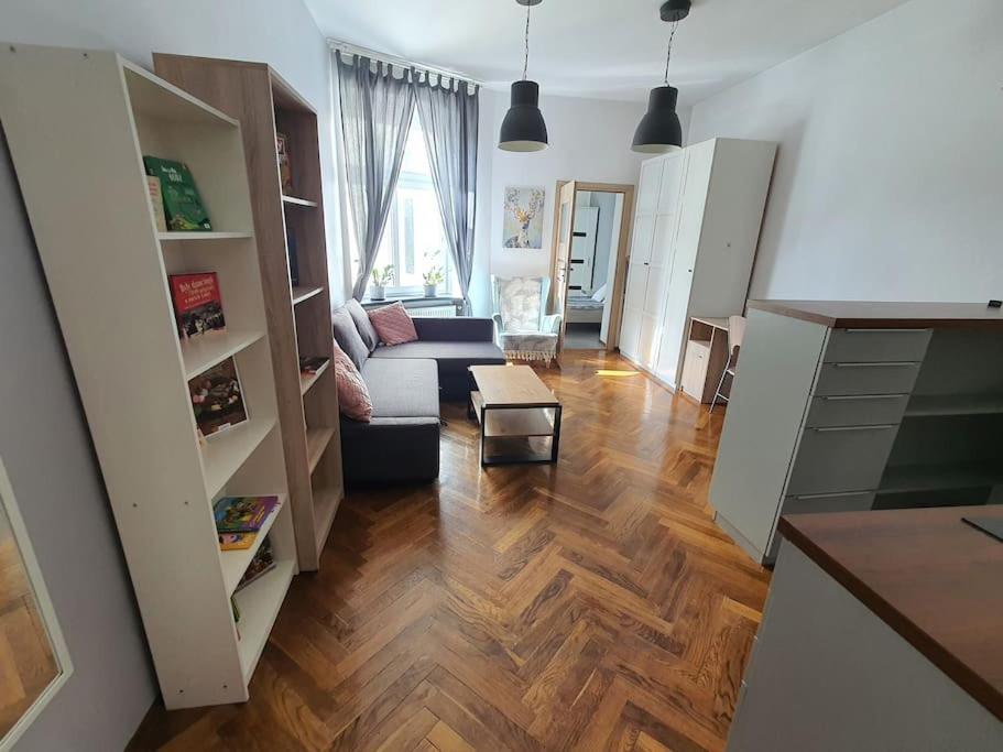 Apartament Przy Szkole Filmowej, Darmowy Parking Łódź Exterior foto